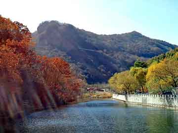 新澳天天开奖资料大全旅游团，乐驰论坛